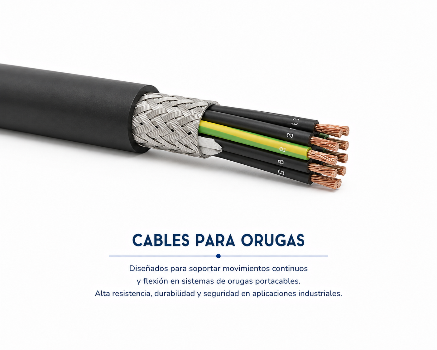 Orugas